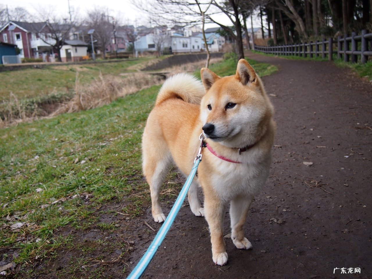 减肥瘦腰对坐姿有什么要求