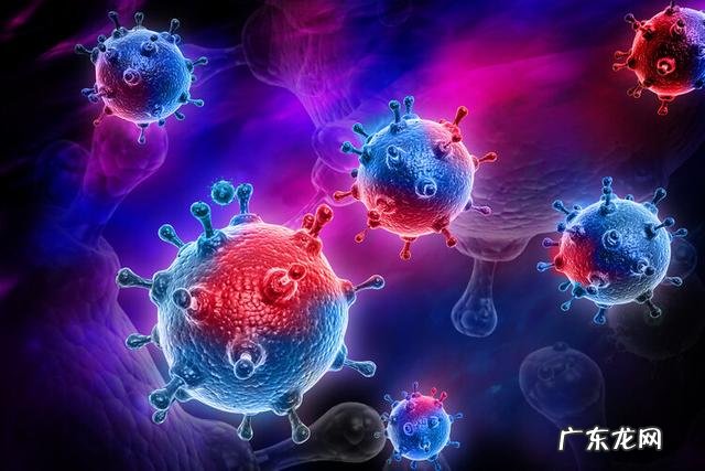 00后的生育观念调查 90后对于性的看法调查结果