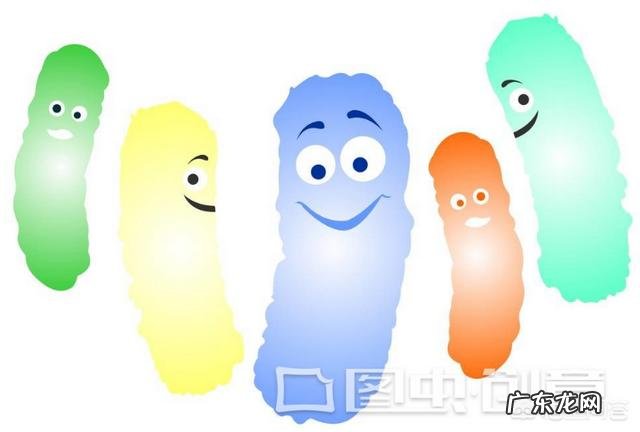 减肥吃酵素还是吃益生菌好呢