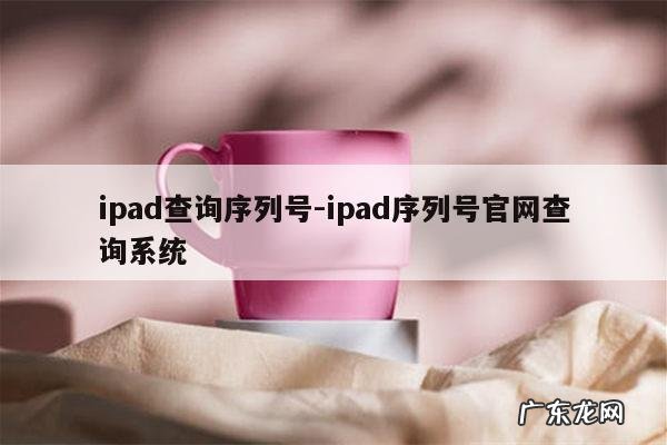 ipad查询序列号-ipad序列号官网查询系统