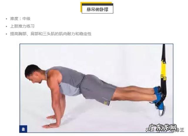 全身抗阻力锻炼，一根TRX绳子就可以练遍全身，家庭减肥必备