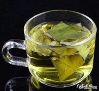 喝用什么泡的水能快速减肥