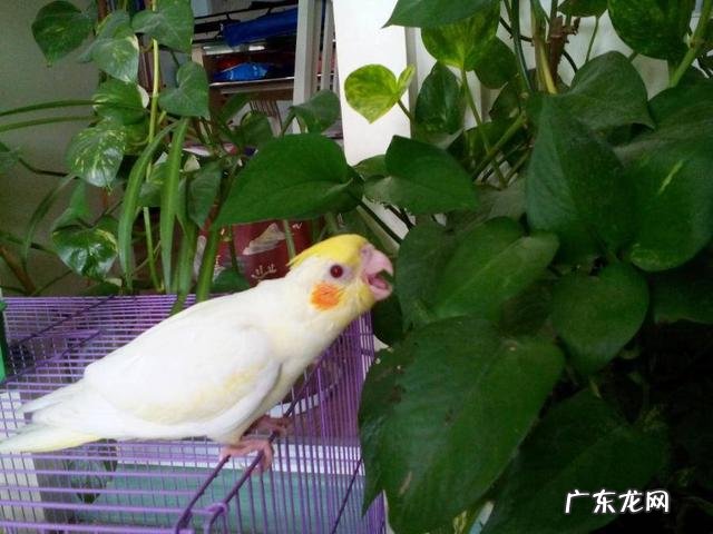 我国青少年的抑郁症检出率为24.6% 青少年抑郁发病率达24.6%