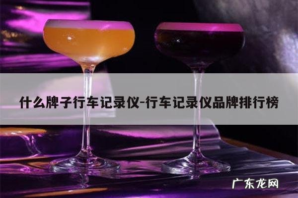 什么牌子行车记录仪-行车记录仪品牌排行榜