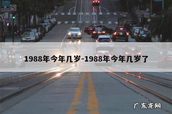 1988年今年几岁-1988年今年几岁了