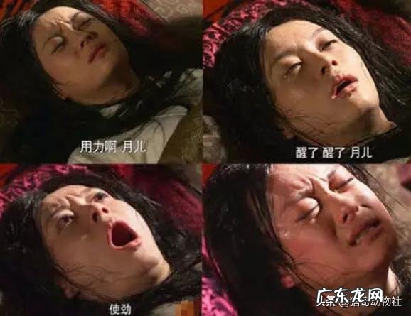 有100年左右寿命的哺乳动物有哪些?