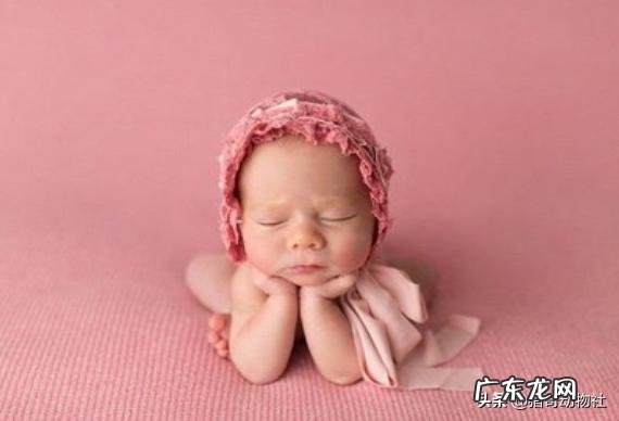 有100年左右寿命的哺乳动物有哪些?