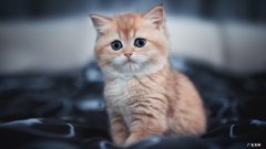 哲学上怎么解释“新陈代谢\&#8217;