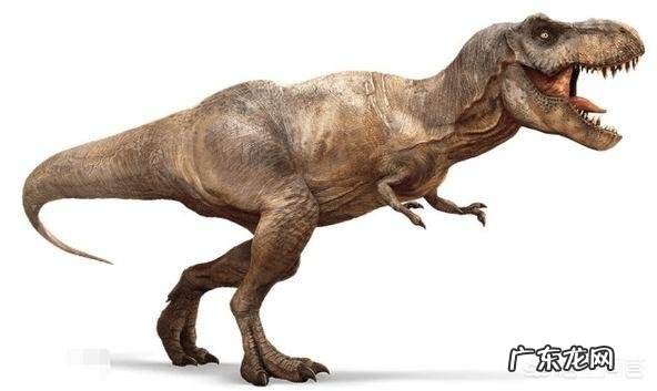 如果把老虎狮子放大到霸王龙那么大能打赢霸王龙吗?