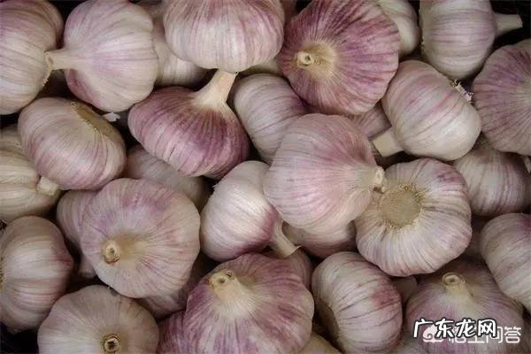 什么情况下穿静脉曲张弹力袜