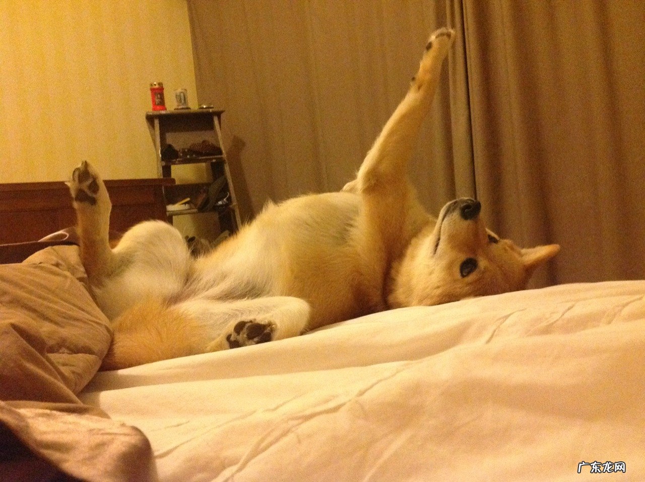 脸部减肥最有效方法 减肥产品哪个好?