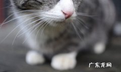 香蕉和黄瓜哪一种更能减肥还有快速能减腿上的肉方法，谢谢啦