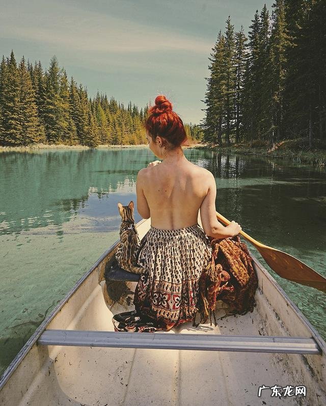 养孟加拉豹猫是什么体验?