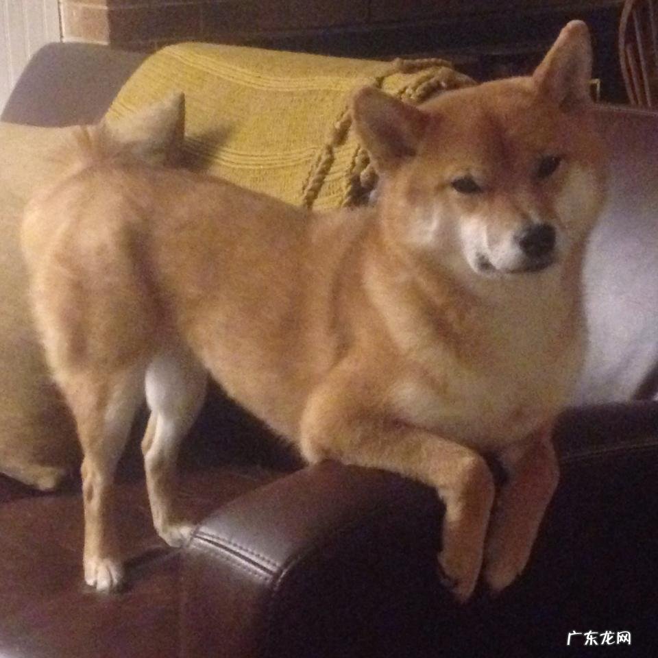 喝了中药后为什么经常放屁