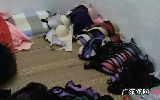 一些小偷专门偷女性的衣物,这是一种什么样的心理