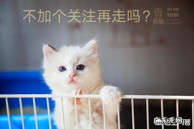 窒息死亡痛苦吗?假如一个人被掐死,多长时间会失去意识?