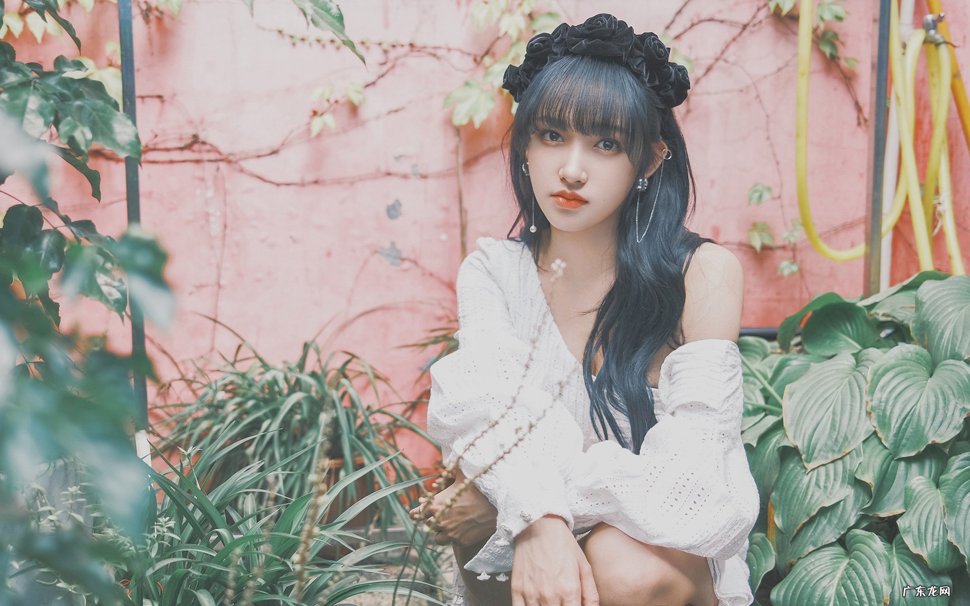 网上的减肥的酵素有用吗貌似还是日本的.