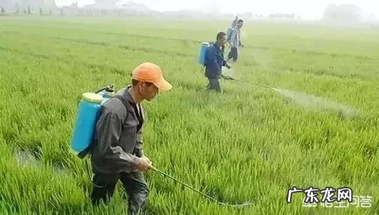 果树和蔬菜都适用的药有哪些