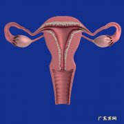 子宫肌瘤手术后为什么要压沙包？