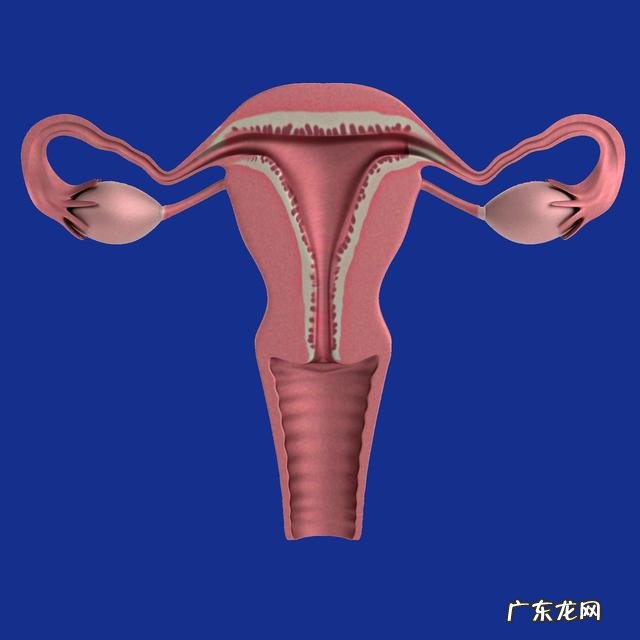 子宫肌瘤手术后为什么要压沙包?