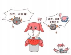 西瓜含糖量高吗减肥，高血糖的人能吃西瓜吗