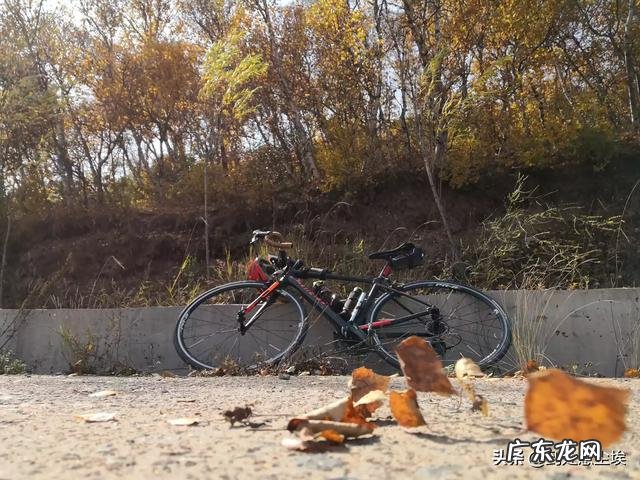 在城市道路骑行锻炼,买山地车好还是公路自行车好定速的呢