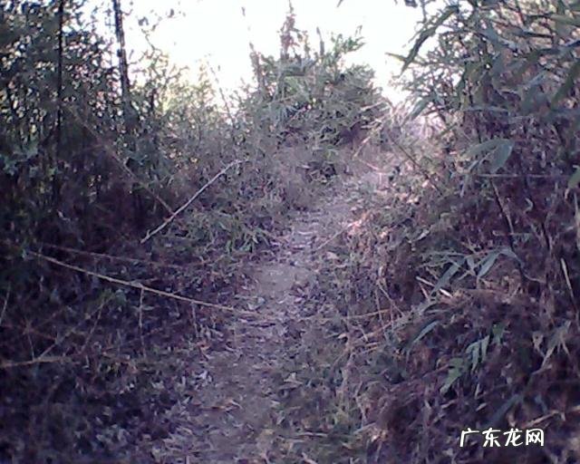 农村过去总有人晚上遇到“鬼打墙”,现在为何没听说,是什么原因