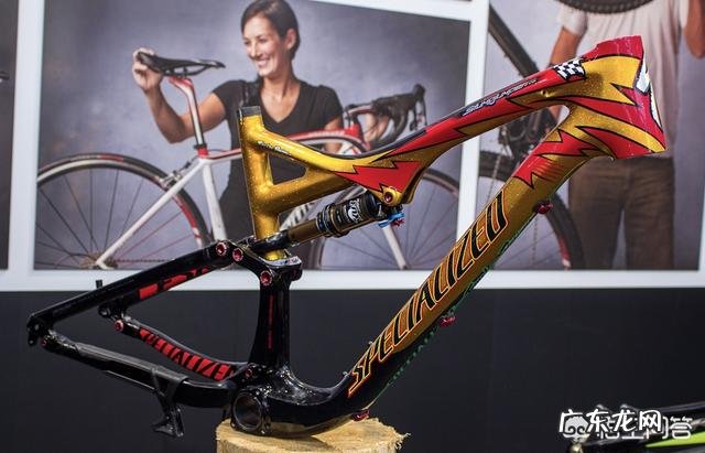 美利达自行车和SPECIALIZED闪电自行车两个品牌好吗