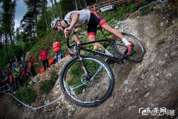 美利达自行车和SPECIALIZED闪电自行车两个品牌好吗