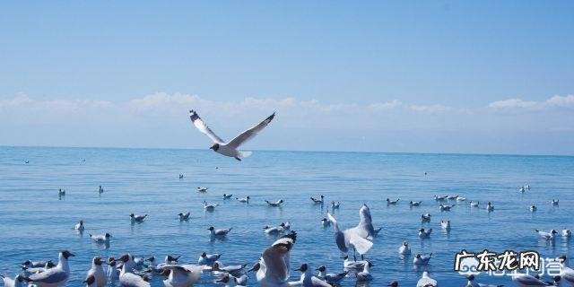 去青海湖骑行租自行车需要带什么装备,车行的装备是另外收费吗?