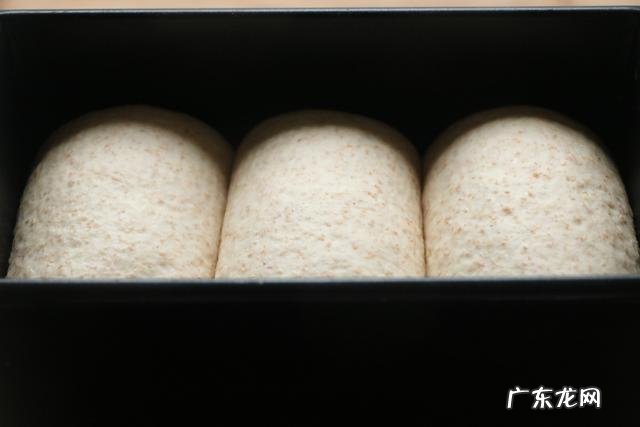 60%无糖低油的全麦吐司,终于找到柔软好吃的配方,减脂不发愁