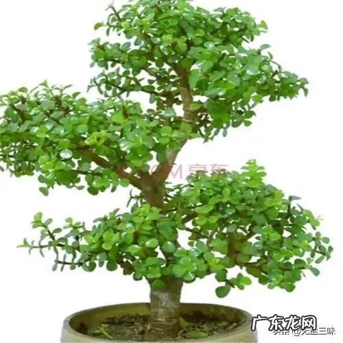 年龄大了，没有朋友圈了，和老公关系不好，怎么熬这漫长的日子