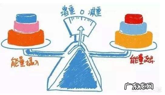 我想要减肥瘦身呢,除了锻炼之外,还有什么辅助产品吗