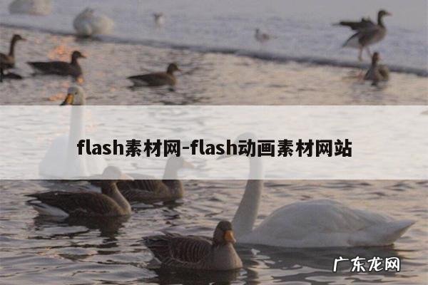 flash素材网-flash动画素材网站