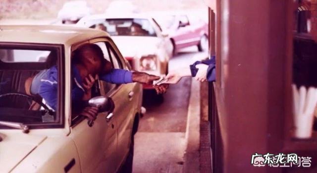 夏特克上大学,会手语,最后却被关动物园,人类为什么不信任它?