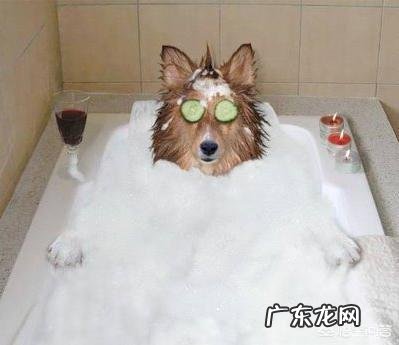 泡澡的好处和坏处有哪些,长时间泡澡好吗?