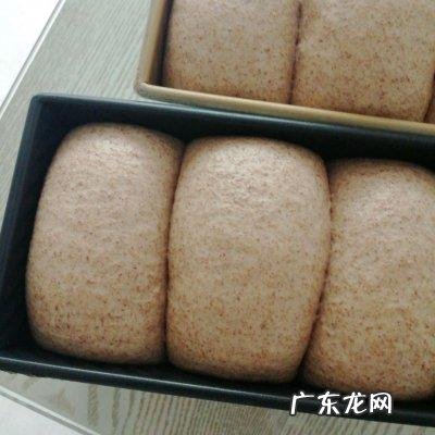 #助力高考营养餐#健康美味50%黑麦吐司三明zhi减脂者友好