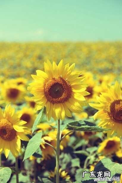 睡眠不足皮肤会怎么样?要怎么做?