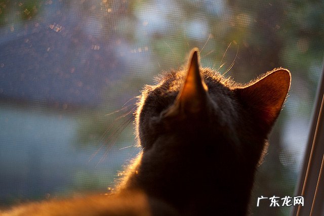 有没有人跳郑多燕的减肥操瘦下来的呢
