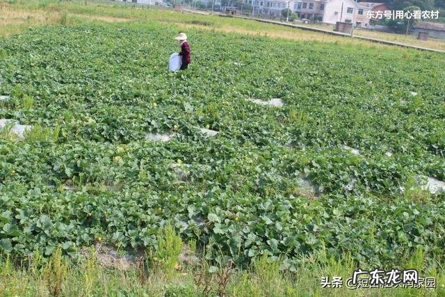 你知道历史上最完美的悼文是什么吗