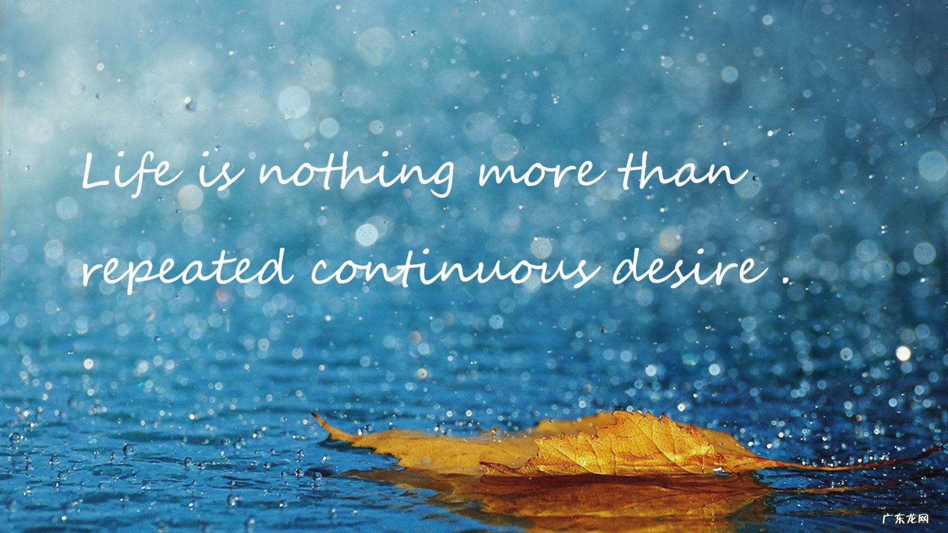 香蕉醋红糖能减肥吗要怎么吃