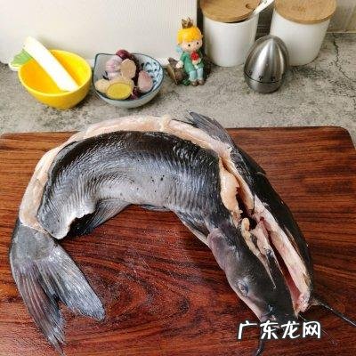 酱烧清江鱼做法 怎么烧清江鱼好吃