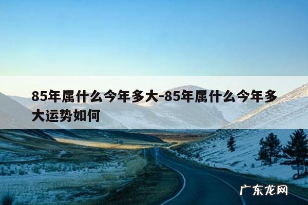 85年属什么今年多大-85年属什么今年多大运势如何