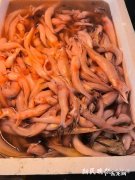 惠州大亚湾渔政休渔偷捕事件