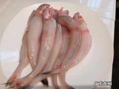 龙头鱼怎么做好吃呢 大头鱼哪种最好