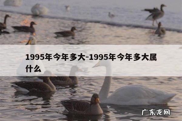 1995年今年多大-1995年今年多大属什么