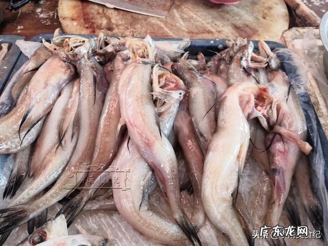 干的龙头鱼的家常做法 龙头鱼加豆腐做法