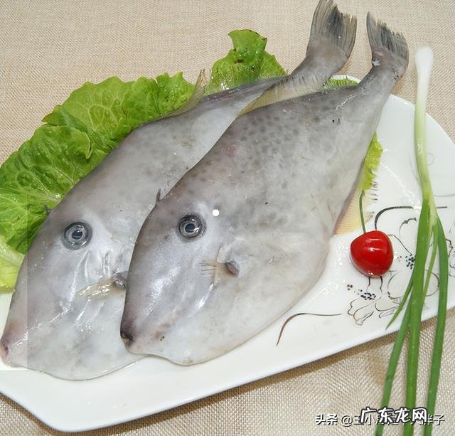 农村最稀少的3种鱼 罕见古鱼