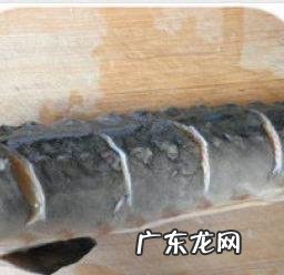 中华鲤鱼的做法大全 中华鲟怎么做更美味