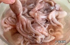 八爪鱼怎么煮不老不硬 八爪鱼怎么煮才最好吃